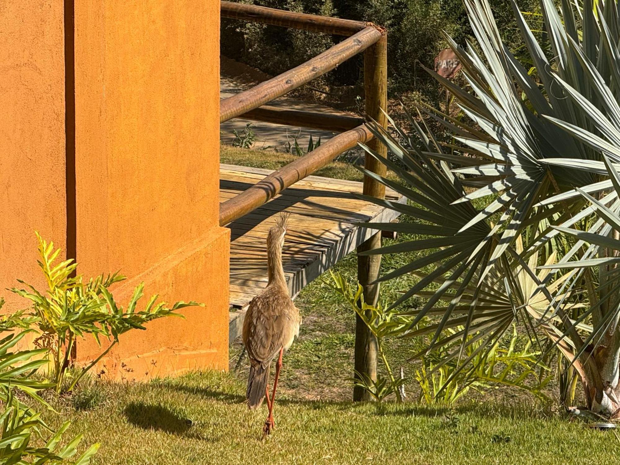 Pousada Guardia Da Canastra Vargem Bonita Extérieur photo